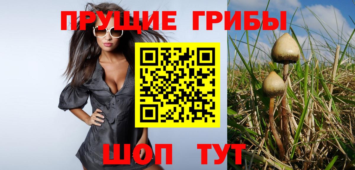 Псилоцибиновые грибы GOLDEN TEACHER Щёлково