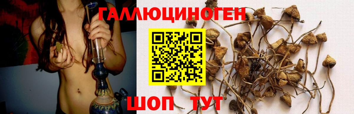Галлюциногенные грибы мицелий  Вход с VPN  Псилоцибиновые грибы мухоморы  Щёлково 